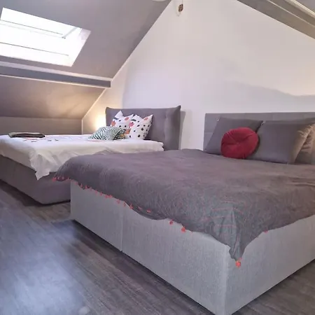 Duplex-Cocon-Proximite - Piscines Thermales -Sauna Hombourg-Haut Extérieur photo