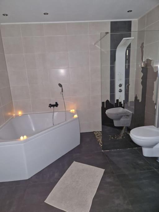 Duplex-cocon-proximite - Piscines Thermales -sauna Appartement